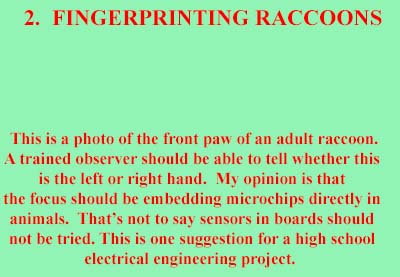 Fingerprinting Raccoons